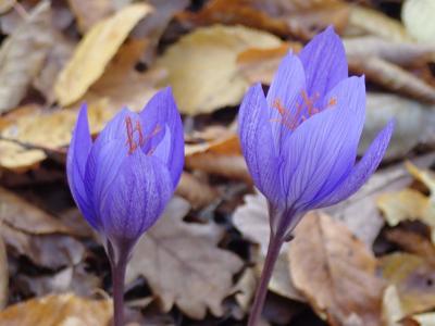 Прикрепленное изображение: 20211017_201207_1024x768.jpg